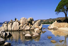 熊猫体育：首位女性！刚刚，柯丝蒂·考文垂当选国际奥委会主席.